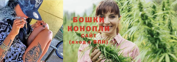 винт Белокуриха